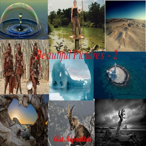 Beautiful Pictures   2   Music  Hollies