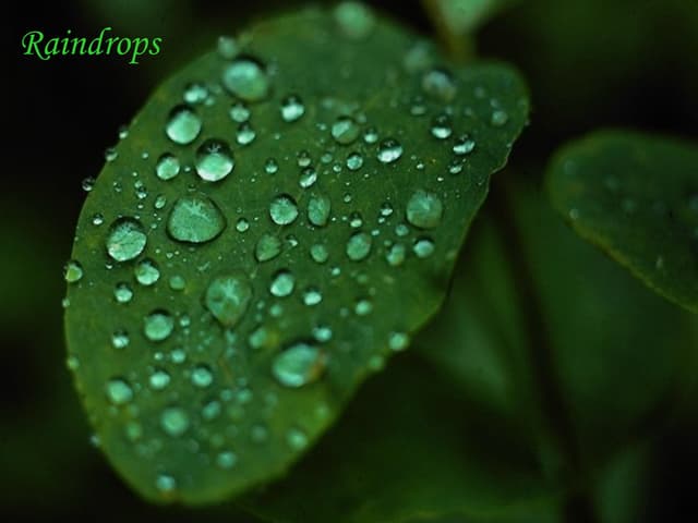Beautiful Rain Drops(Music)