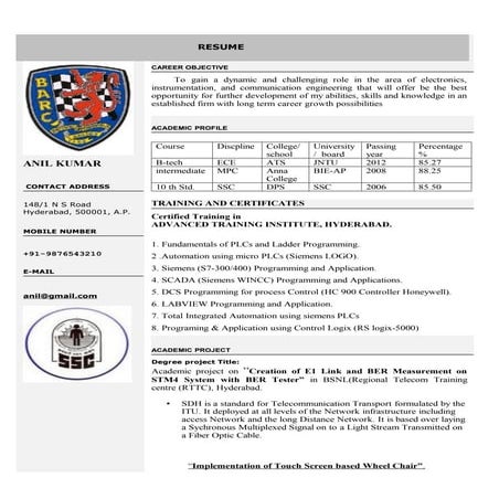 Beautiful resume format in word(1)