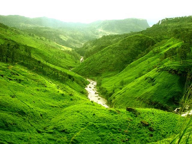 Beautiful Scenery  From Sri Lanka
