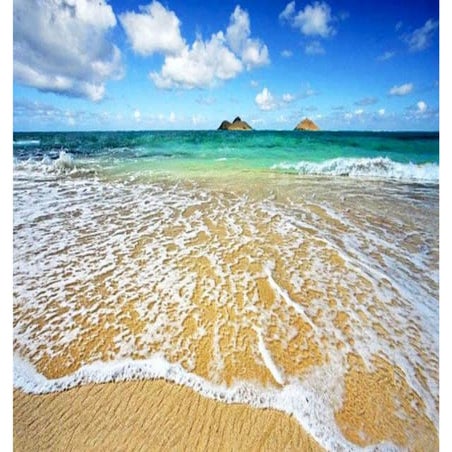 Beautiful Wilderness Photography