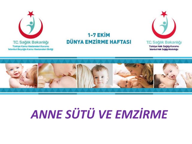Bebek dostu