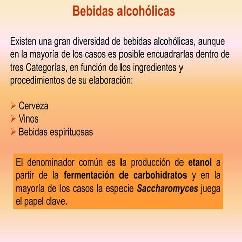 Bebidas 2-alcohólicas.pdf