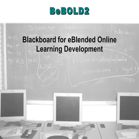 BeBOLD2-Project Welcome-April 16+17, 2011