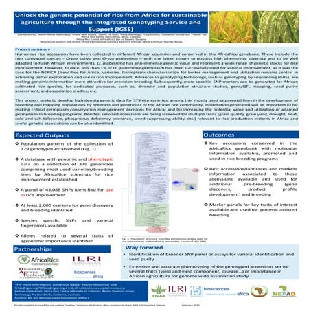 Unlock the genetic potential of rice from Africa for sustainable agriculture ...