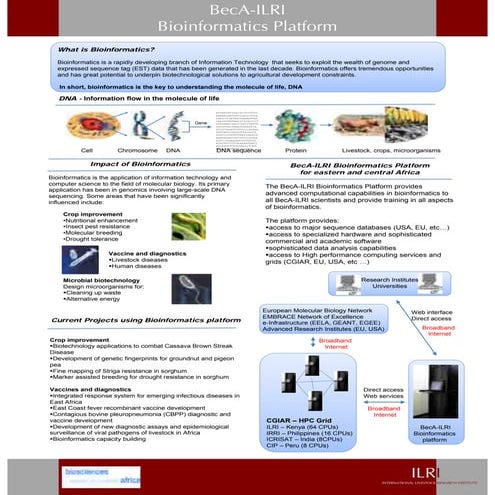 BeCA-ILRI Bioinformatics Platform