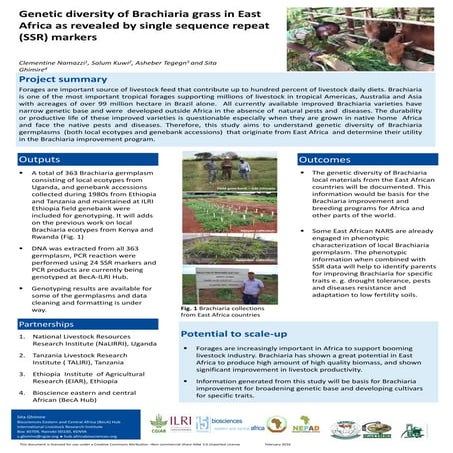 Genetic diversity of Brachiaria grass in East Africa as revealed by single se...