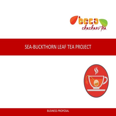 Beca team sea buckthorn tea project