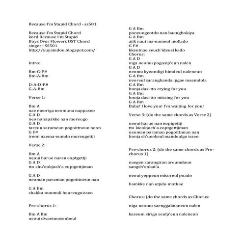 Because Im Stupid Ss501 Docx