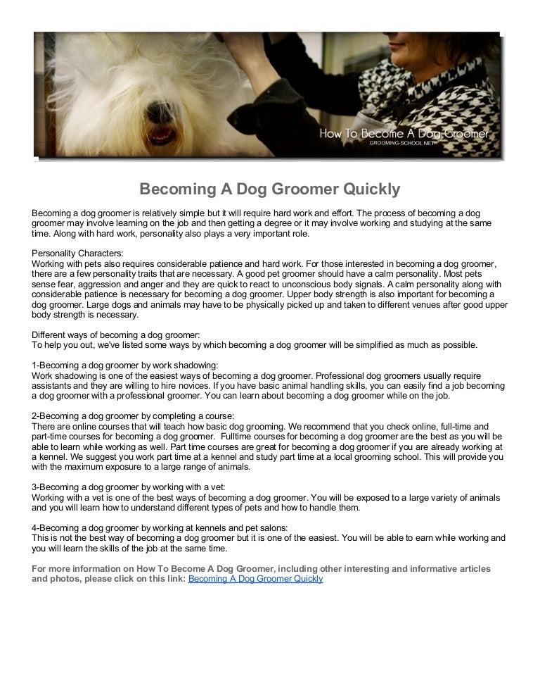 large breed dog groomers