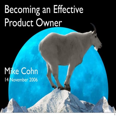 Becoming an Effective Product Owner