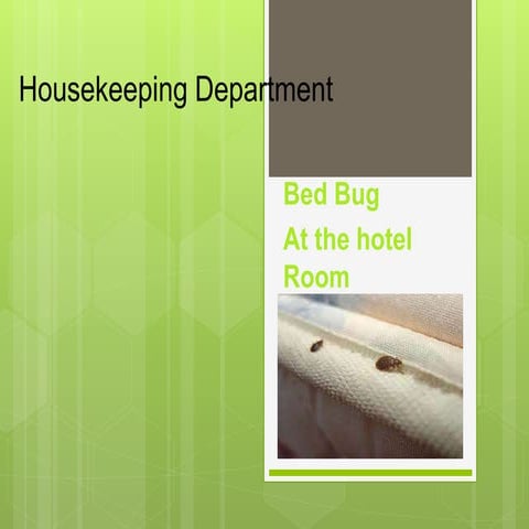 Bed bug for housekeeping 