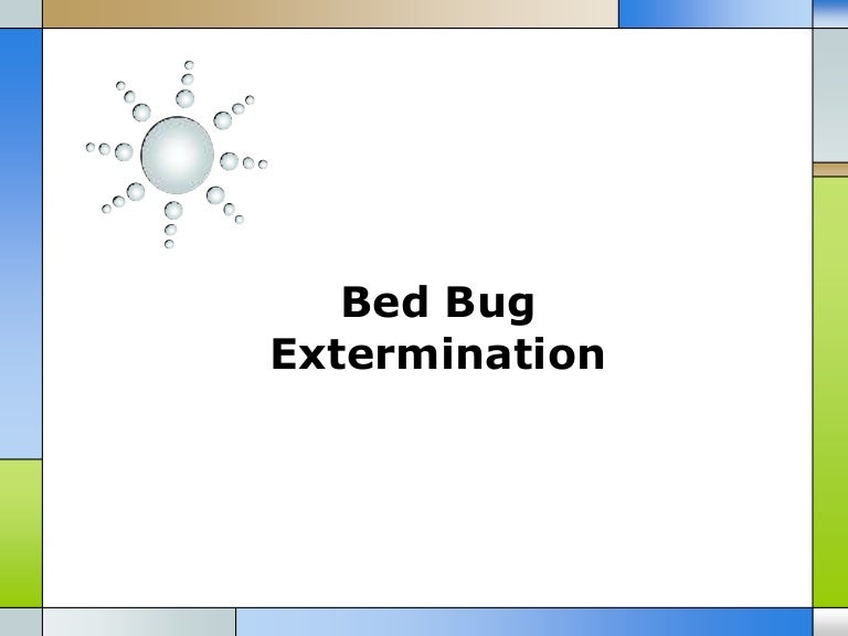 bed bug extermination cost