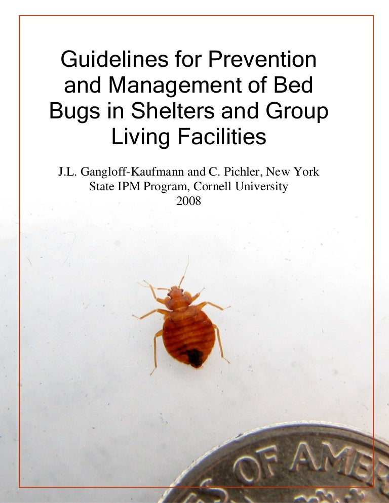 Bed bug guidelines for shelters and group living facilities