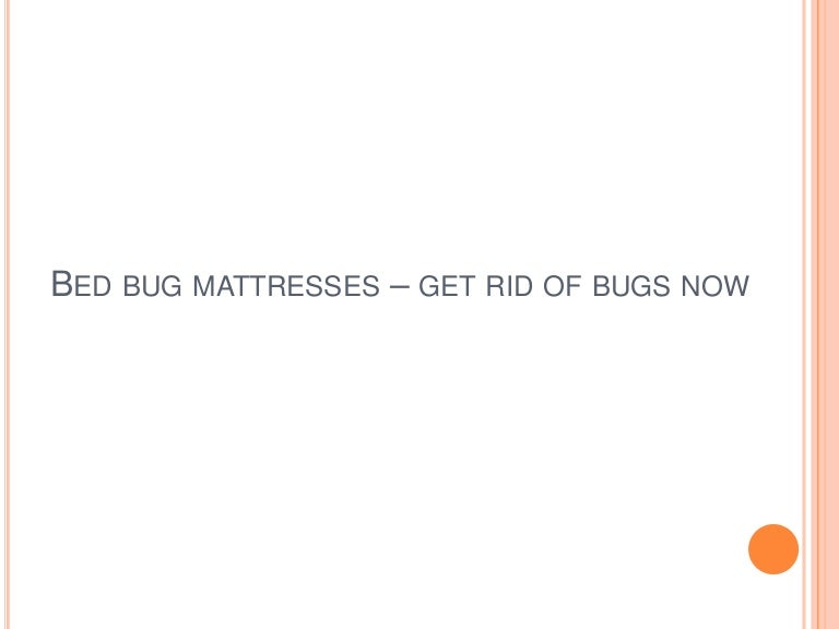 Bed bug mattresses get rid of bugs