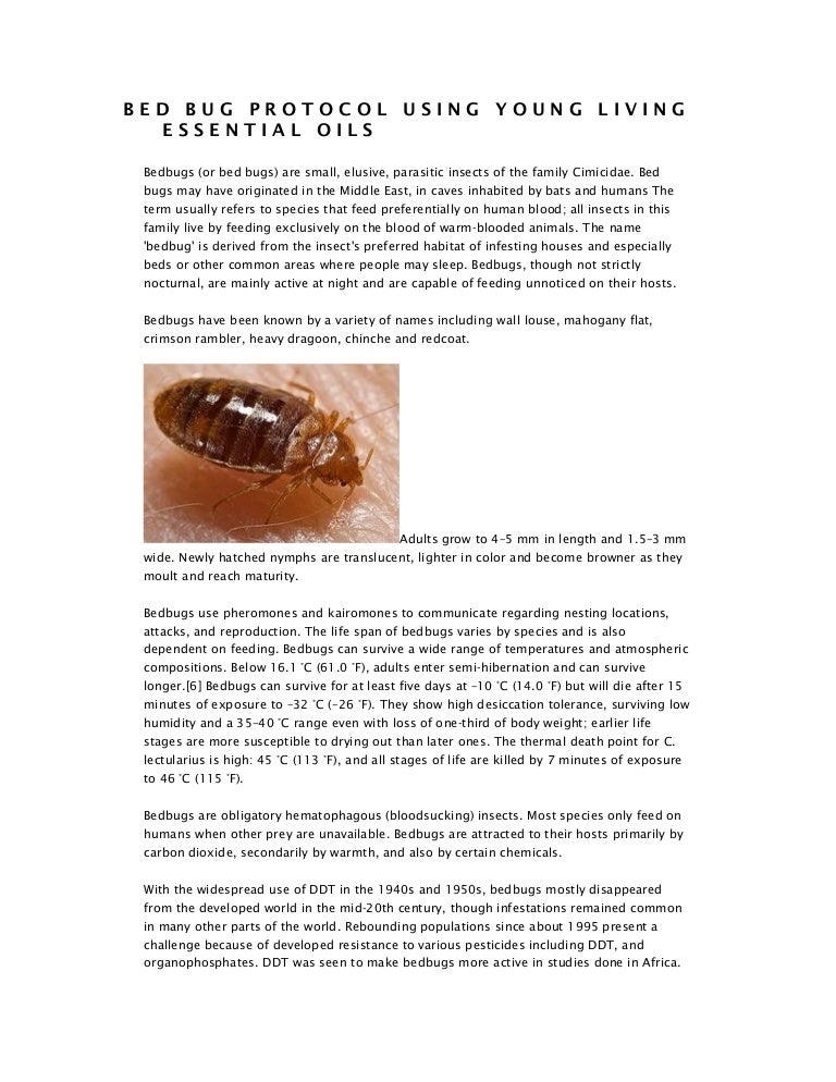 Bed bug protocol using young living essential oils