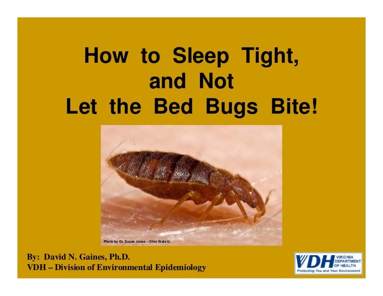 How to Sleep Tight and Not Let the Bed Bugs Bite!