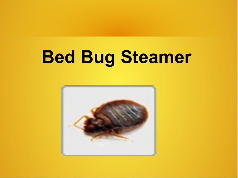 bed bug steamer home depot