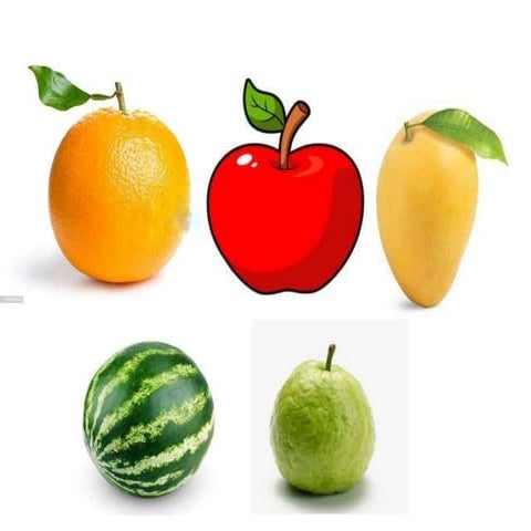 Bedi bedi final final (1)