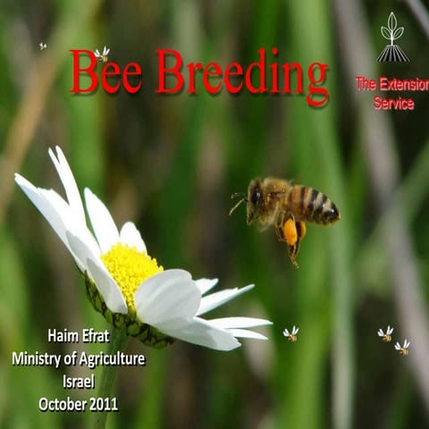 Bee-breeding and queen rearing-Haim-Efrat.pptx
