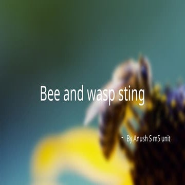 Bee and Wasp medicine toxicologyb  .pptx