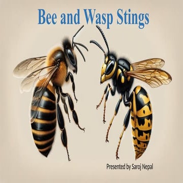Bee and Wasp Stings ( Introduction, type of poison, treatment)