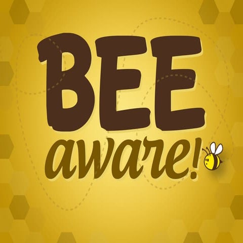 BEE AWARE! #CCD #Bees #Honeybee