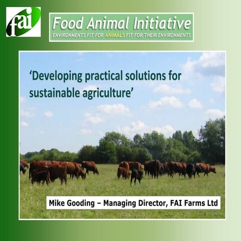 Beef and sheep: Developing practical solutions for sustainable agriculture' -...