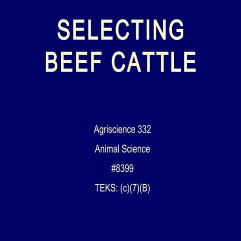 Beef cattleselection