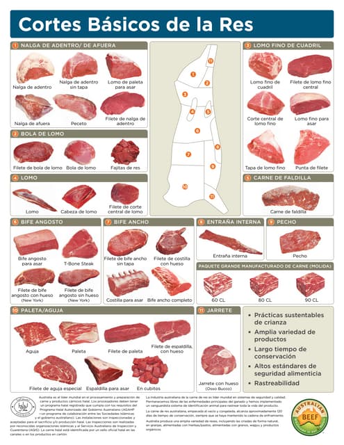 Lamb Cuts Chart Australia