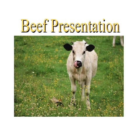 Primary and secondary cuts of meat | PPTX