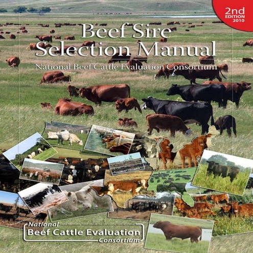 Beef sire selection manual (usa)
