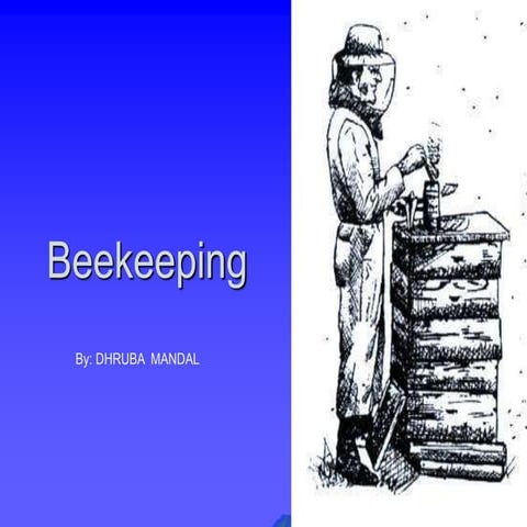 Beekeeping an introduction | PPTX