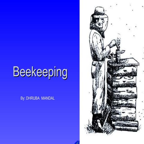 Beekeeping an introduction | PPTX