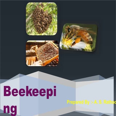 Beekeeping 