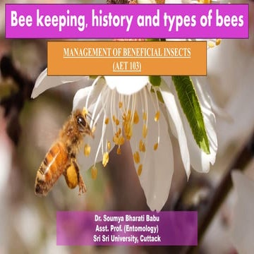 Presentation on Bee Keeping & Apiculture. | PPTX