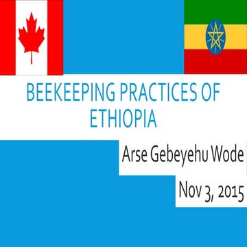 Beekeeping practices in ethiopia
