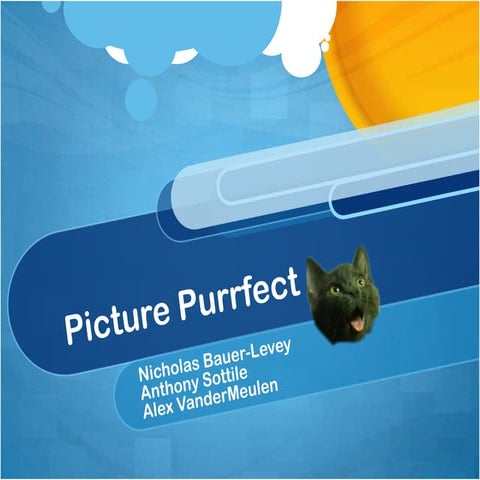 Picture Purrfect