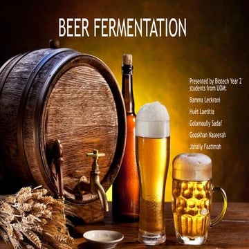 Beer fermentation