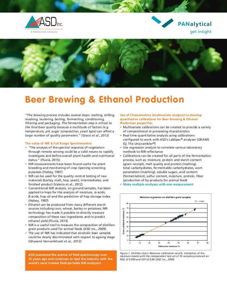 Beer Brewing & Ethanol Production
