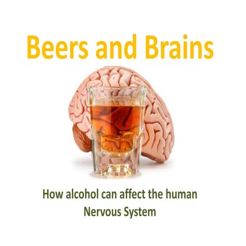 Beers and brains