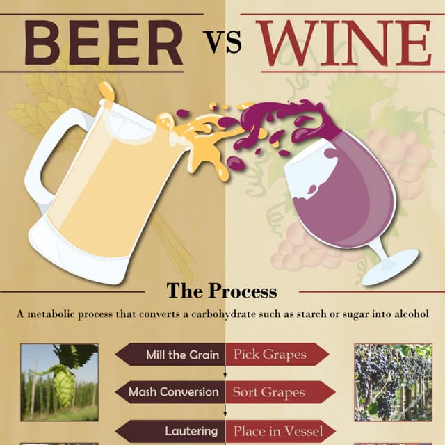 beer-vs-wine-pdf-free-download