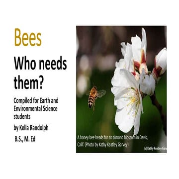 Bees: Who needs them? | PPTX