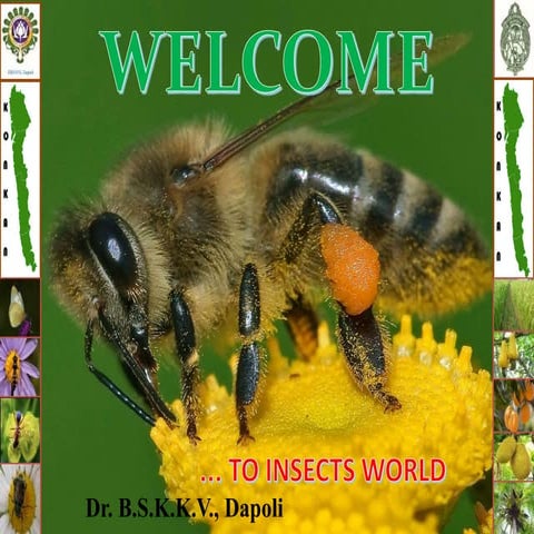 Effect of electromagnetic radiation on honey bee