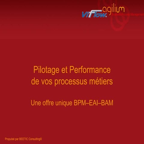 BEETIC - Pilotage et Performance au coeur des procesus métiers.