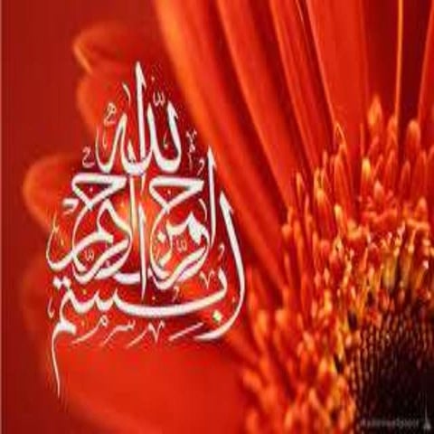 Beet root Physiological Disorder By Mr. Allah Dad Khan Provincial Coordinator...