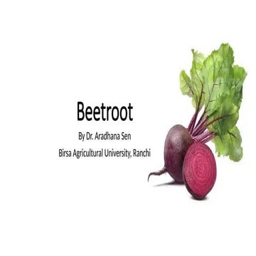 Beet root and Turnip Cultivation practices.pptx
