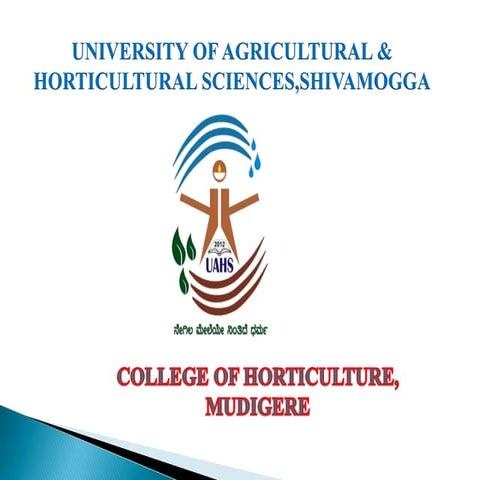 beetrootsmn-210917071811.pptx