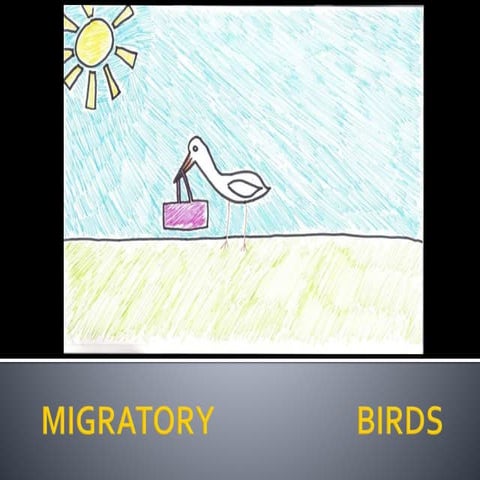 Bef1afa2 migratory birds