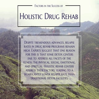 Holistic Drug Rehab - NERC